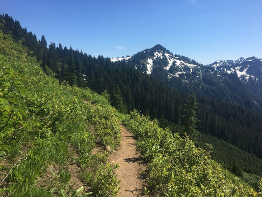 Day 78 – Alpine Meadows