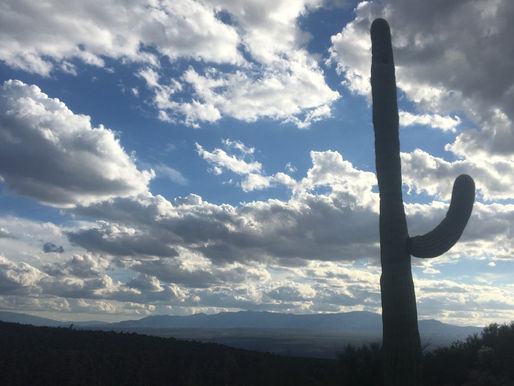 Day 185 – Canyons and Cacti