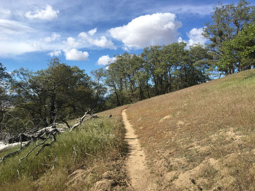 Day 102 – Another day another detour 