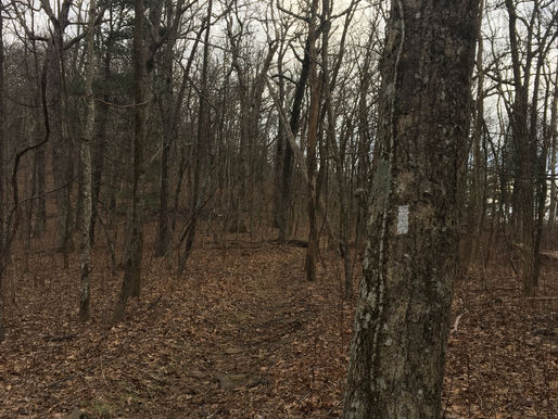 Day 7 – Exhaustion