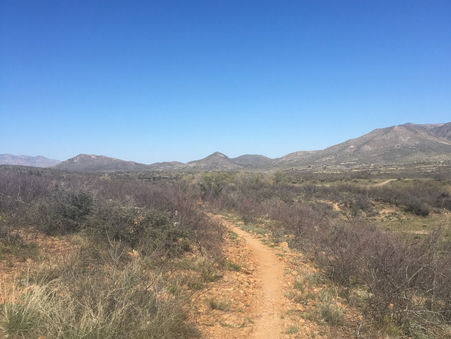 Day 7 in Arizona