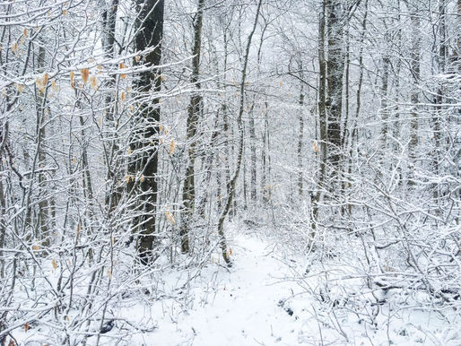 Day 64 – the bitter cold