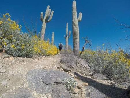 How to thru-hike the Arizona Trail