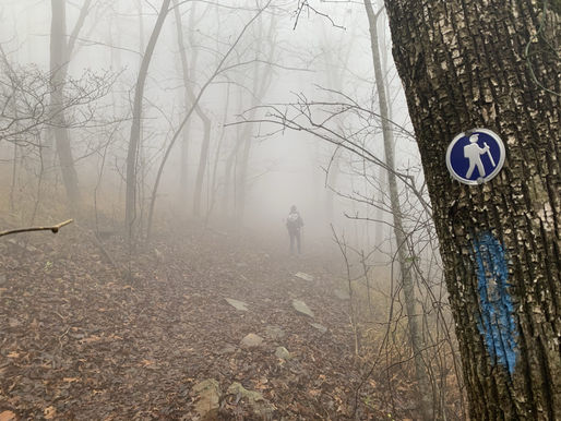 Ouachita Trail Day 4 – Walmart