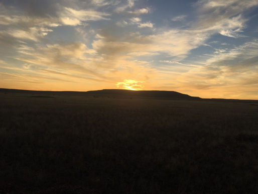 Day 203 – Frigid Desert