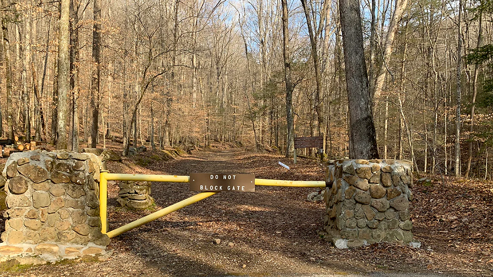 What are the Barkley Marathons