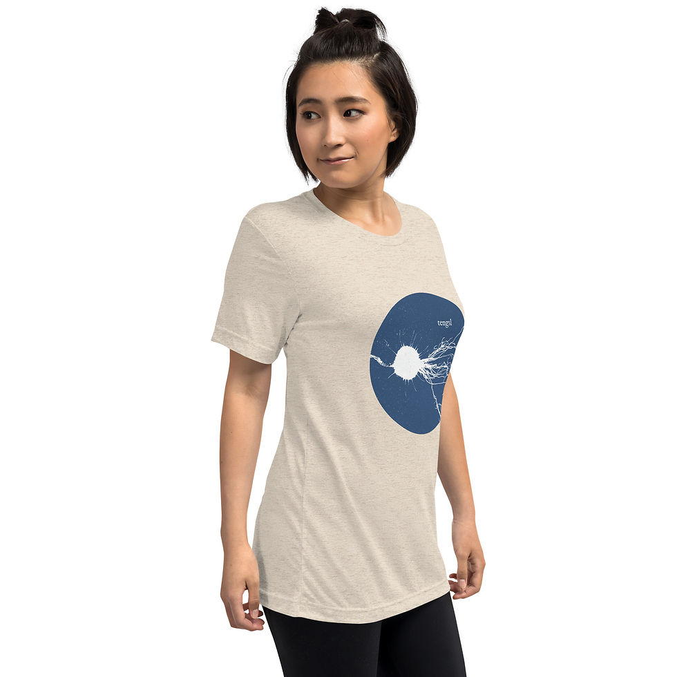 Thumbnail: tengsl stylish unisex album art t-shirts