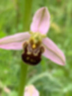 446793669_7432640543529091_6725110532159679277_n