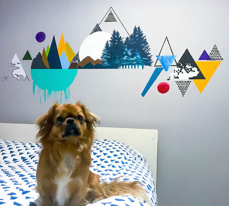 Yatak Odası Duvar Resim Uygulaması