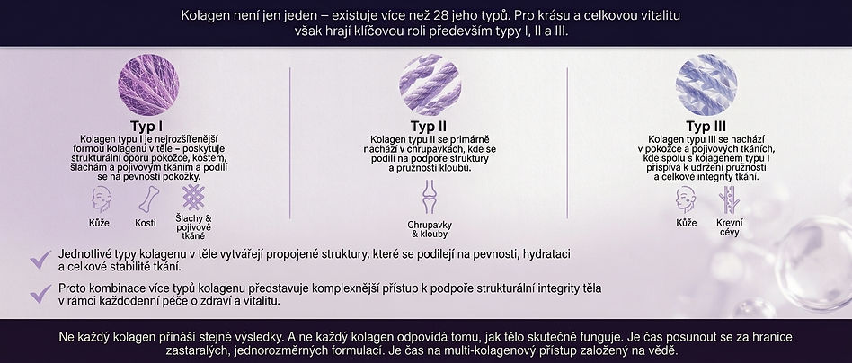 Tři základní typy kolagenu