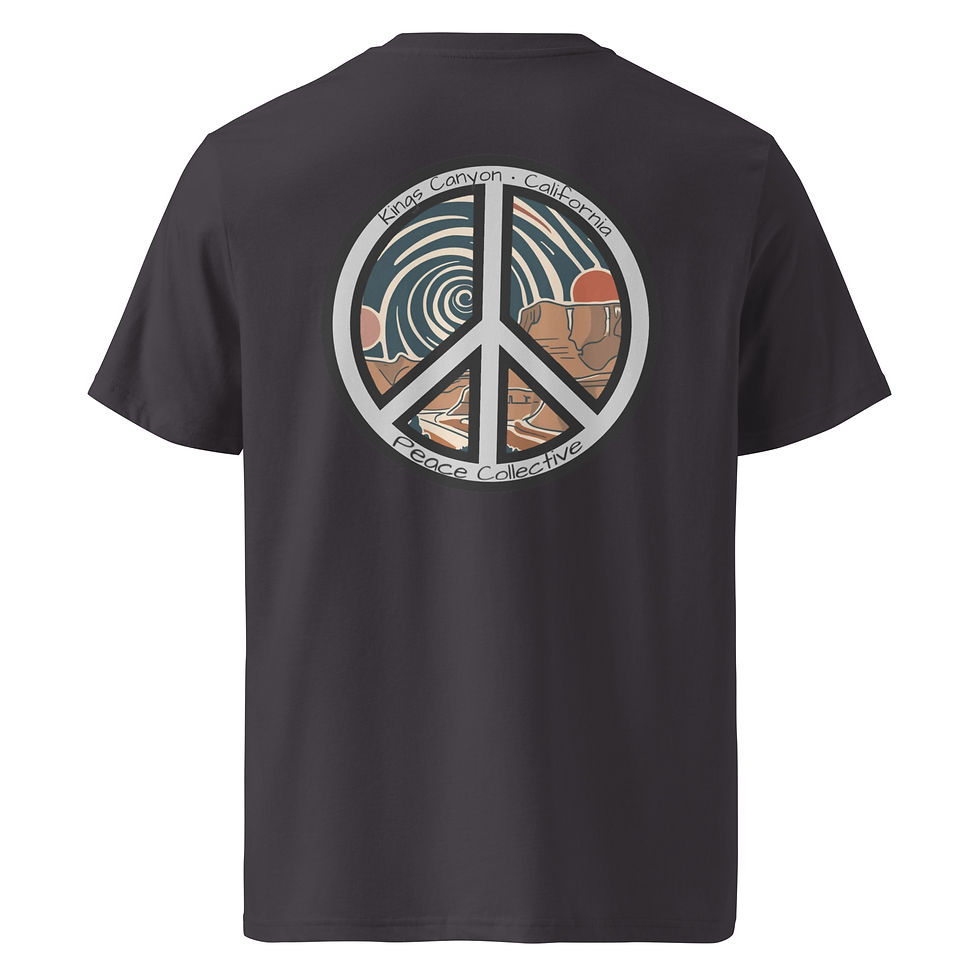 Thumbnail: Kings corganic cotton t-shirt