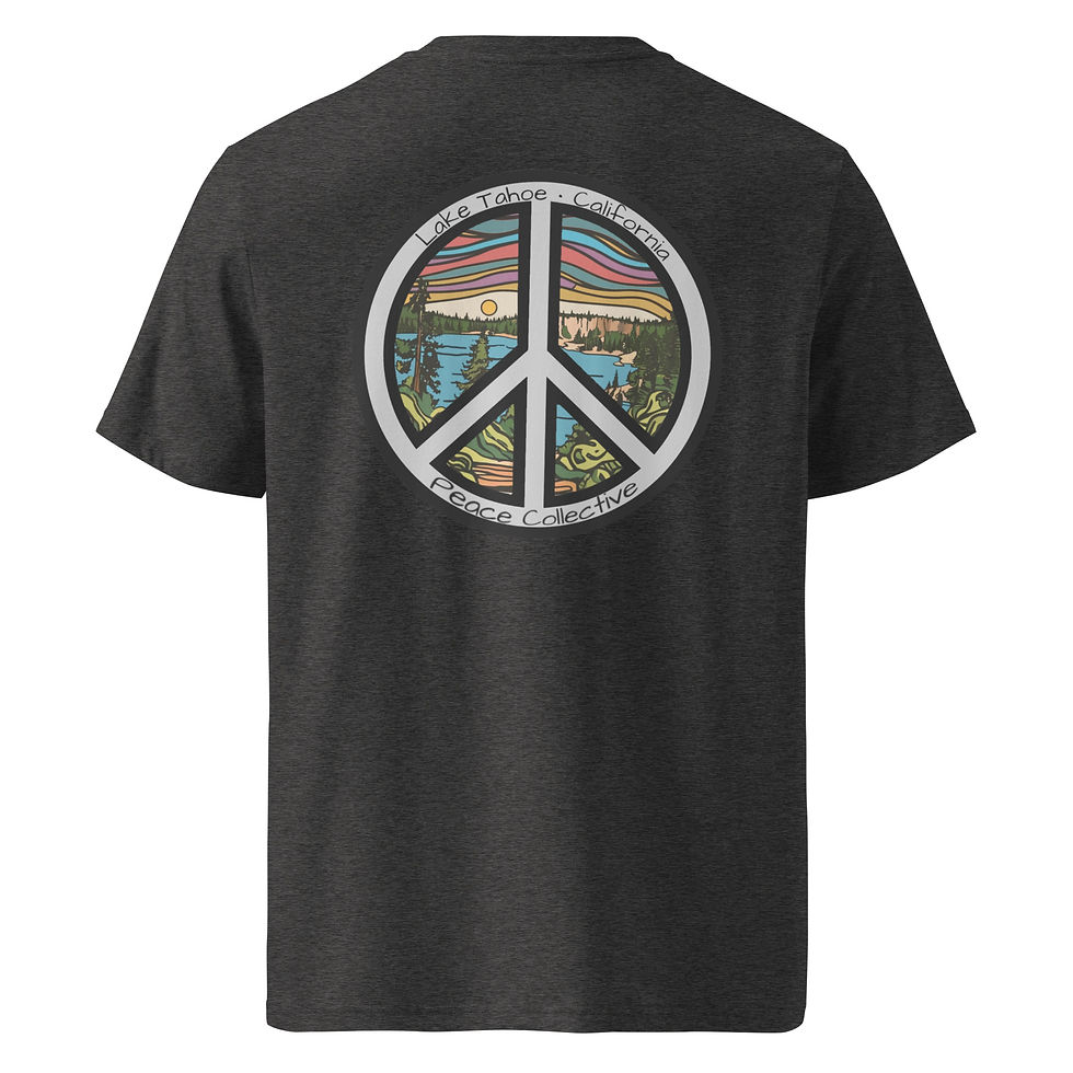 Thumbnail: Lake Tahoe  organic cotton t-shirt