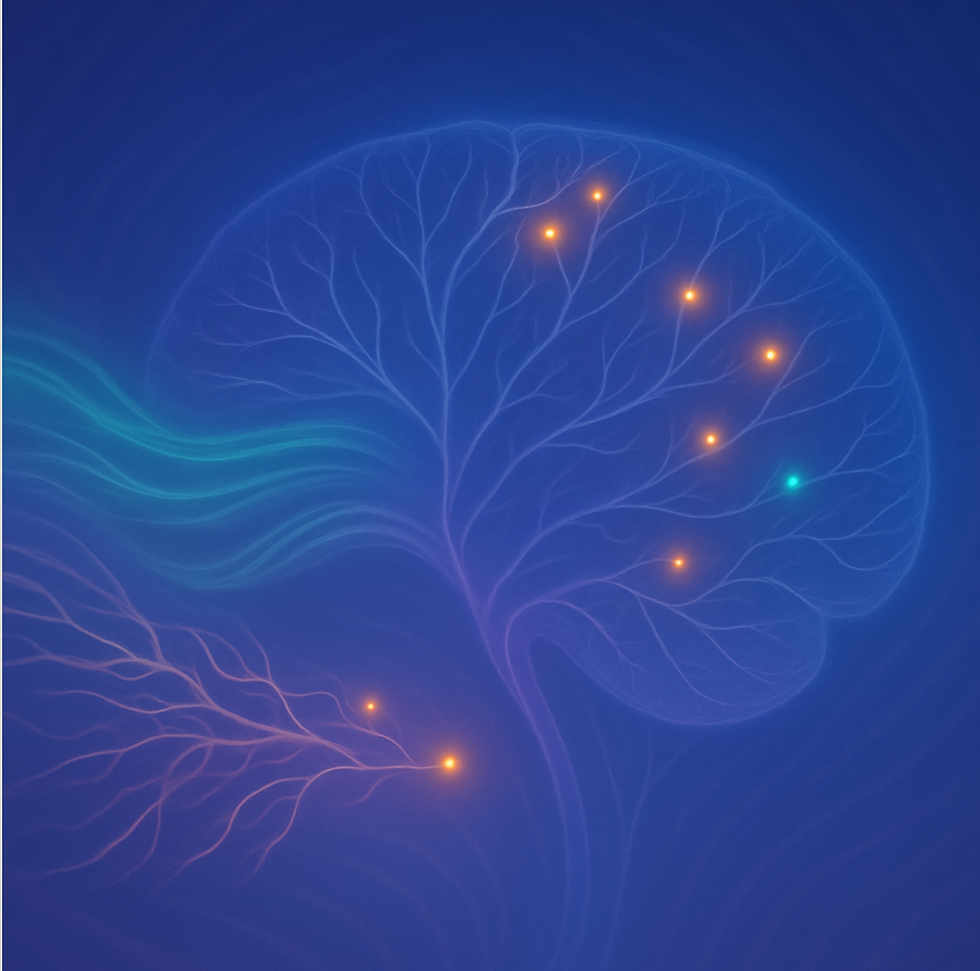 A vibrant depiction of the brain as a flourishing, spongy forest, with colorful synaptic pathways drinking in golden and blue droplets, symbolizing peak BDNF and the nurturing of new insights in a highly receptive mind.