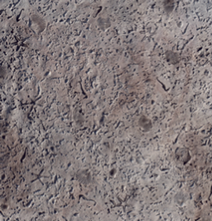 SEAMLESS COQUINA STONE.png