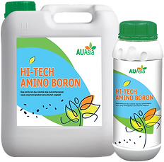 HI-TECH AMINO BORON.png