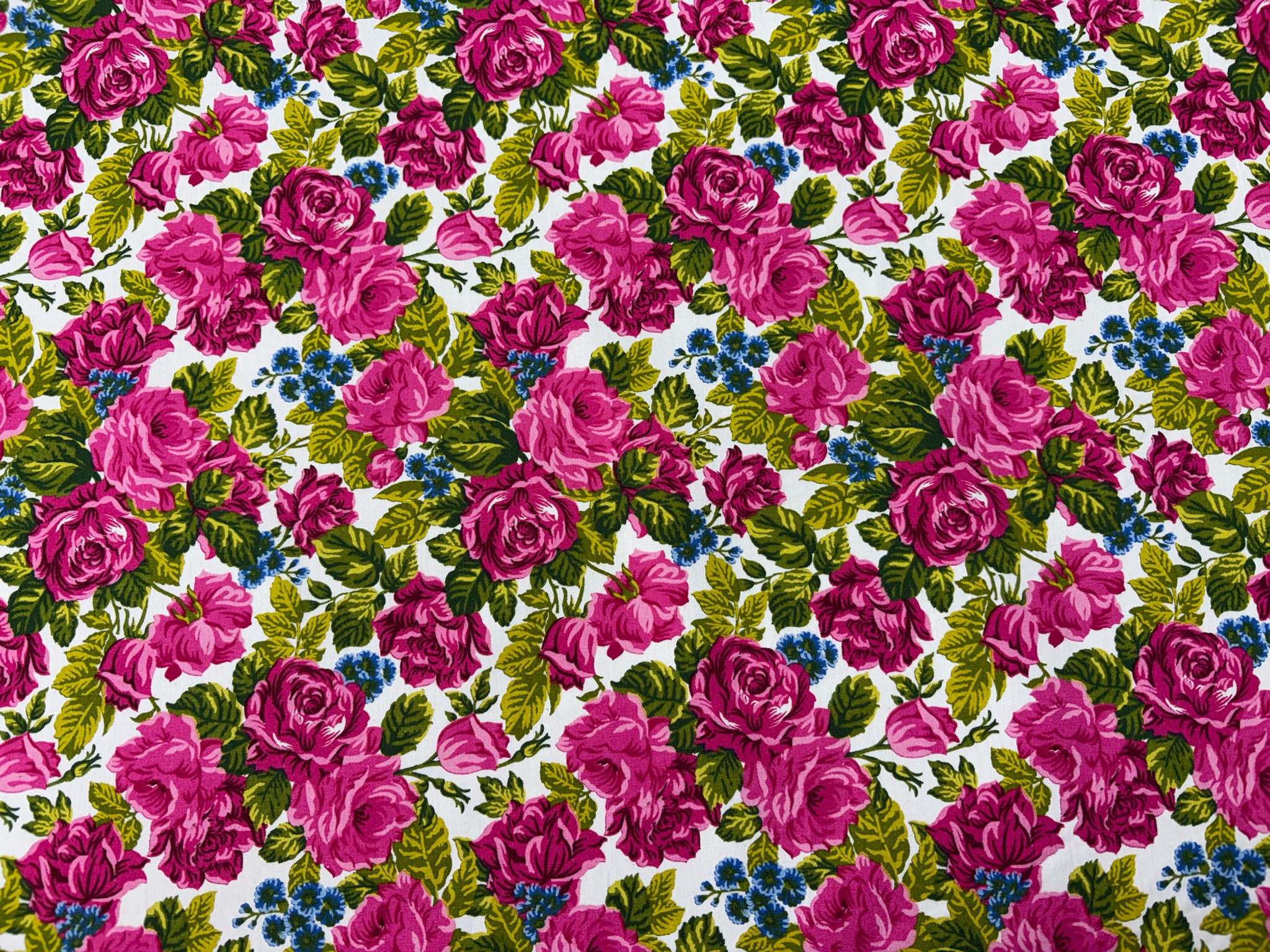 Cerise Rose Garden