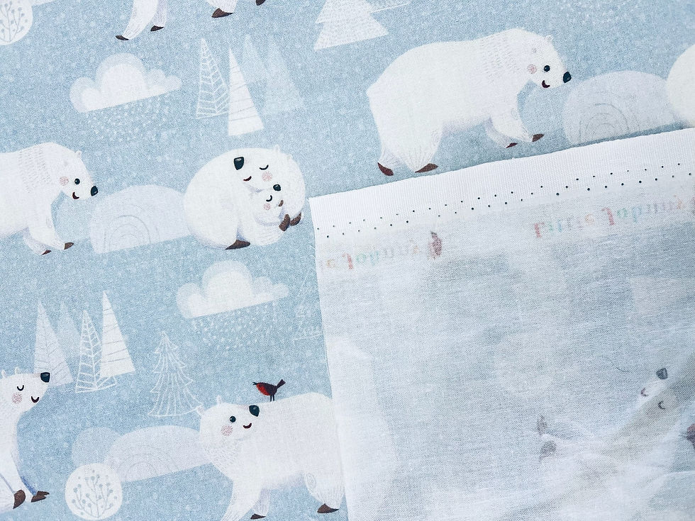 Thumbnail: Polar Bears & Robin Friends