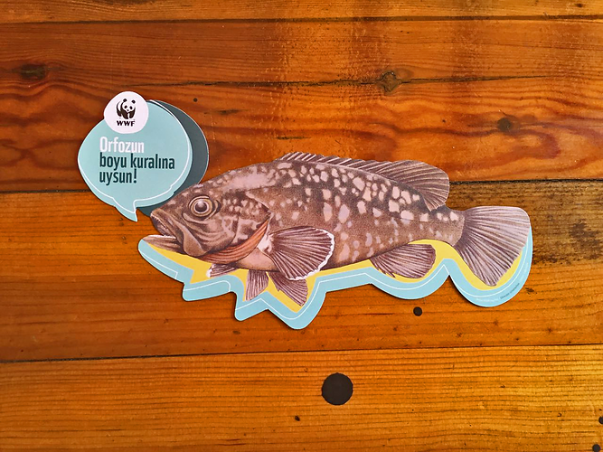 print-design-campaign-wwf-leaflet-3