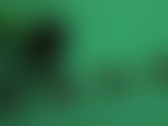 How Ideal Customers Can Be Judging You From Your Branding