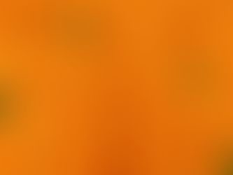 We Are a Wix and Shopify Partner and Here’s How We Can Help You