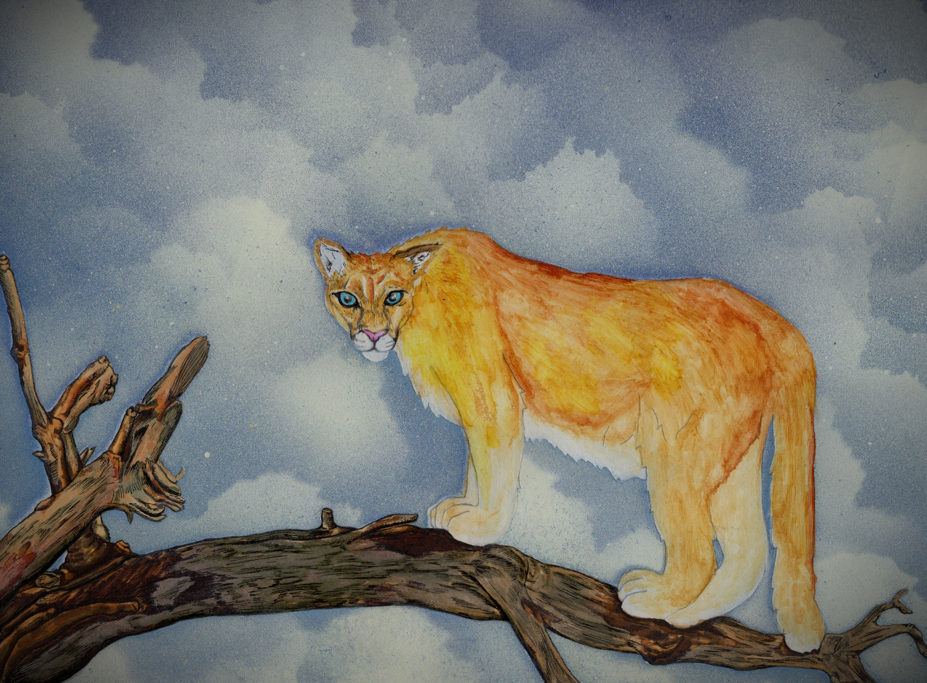 Lion on the Ledge