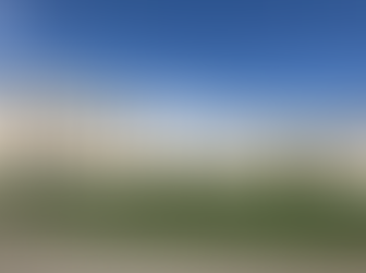 United Nations considers next actions to find missing Princess Latifa after India and UAE’s failure