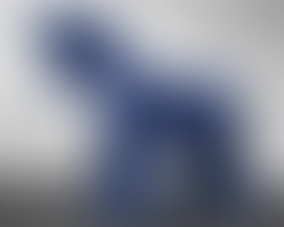 British "facebook-horse" post prisoner in Dubai free to return home