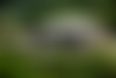 UAE Interpol Abuse Increased, Not Ceased - Emirates Expanding Use of Interpol as Retaliatory Tactic