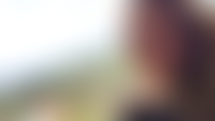 Asa Hutchinson convicted in absentia, sentenced to 3 months in Dubai jail after witnessing brawl