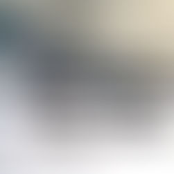 شرطة الإمارات العربية المتحدة والتحقق من الوضع القانوني