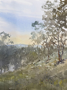 179 Macquarie River BOOK.jpg