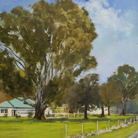Euroa Landscape