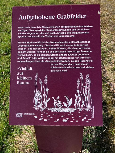 Aufgehobene Grabfelder