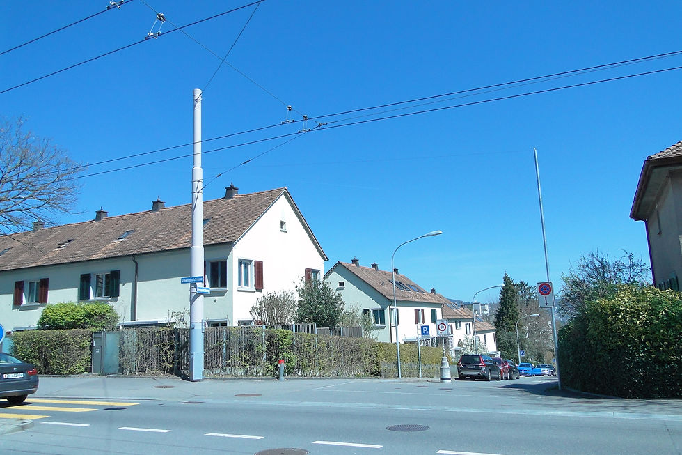             Hoch über die Busspur an der Schweighofstrasse             (Foto Jeanne Rasata)