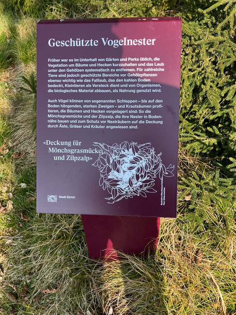 Vogelnester