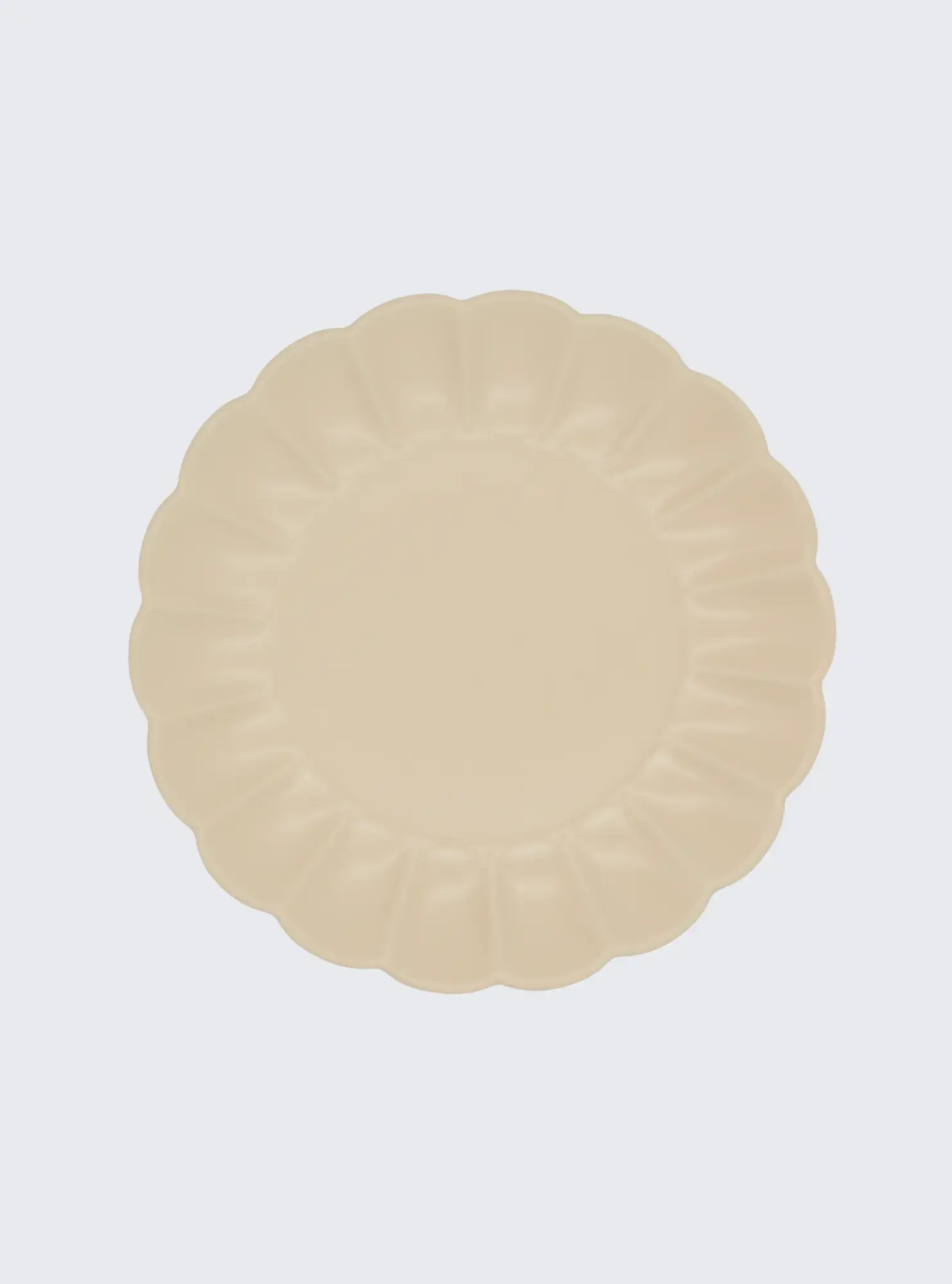 Plato Trinche Bloom