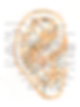 Acupressure Map on Ear - Call 043483896