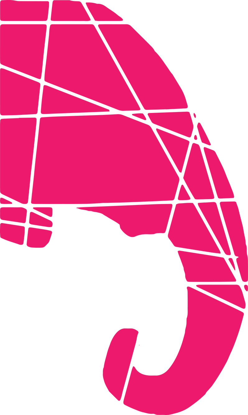 Elephant Skin Brasil