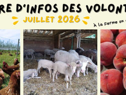         Lettre d'infos JUILLET 2026 !