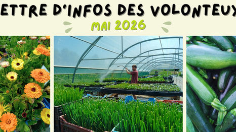 Lettre d'infos MAI 2026 !