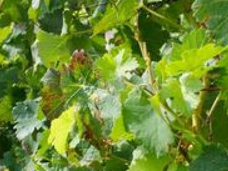 L’année 2019 a bien démarré !