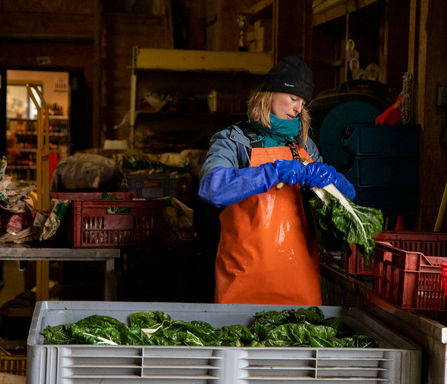 préparation légumes.jpg