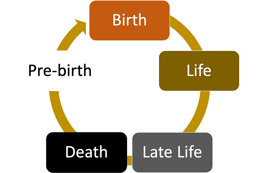 A Look Into The Realm Of The Ancestors A Look Into The Realm Of The Ancestors