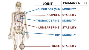 Keeping the body mobile during a cycling season