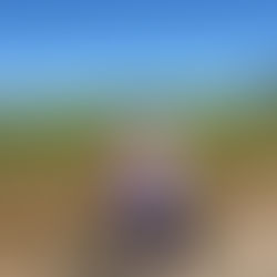 Jaime's story: Blossom Bike Ride