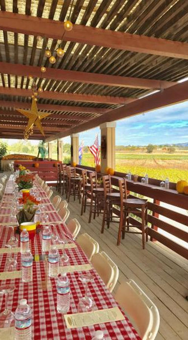 Kalyra Winery 2.jpg