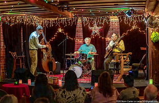 jazz nights