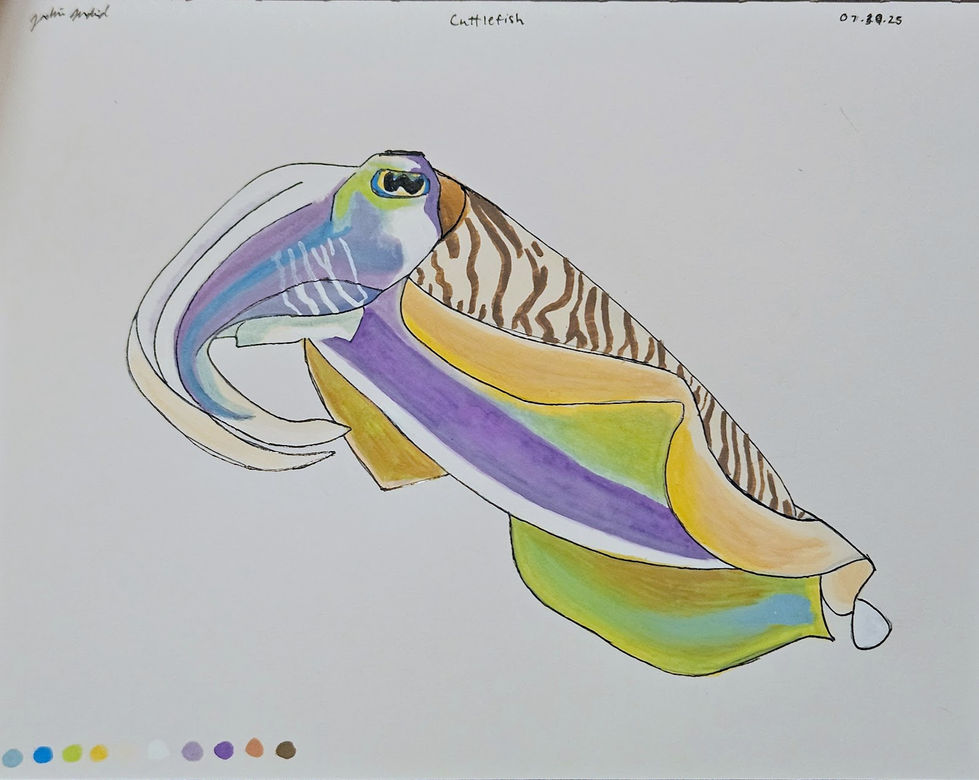 A cuttlefish animal crossing new horizons acnh painting done with acrylic arrtx simptap paint pen brush markers