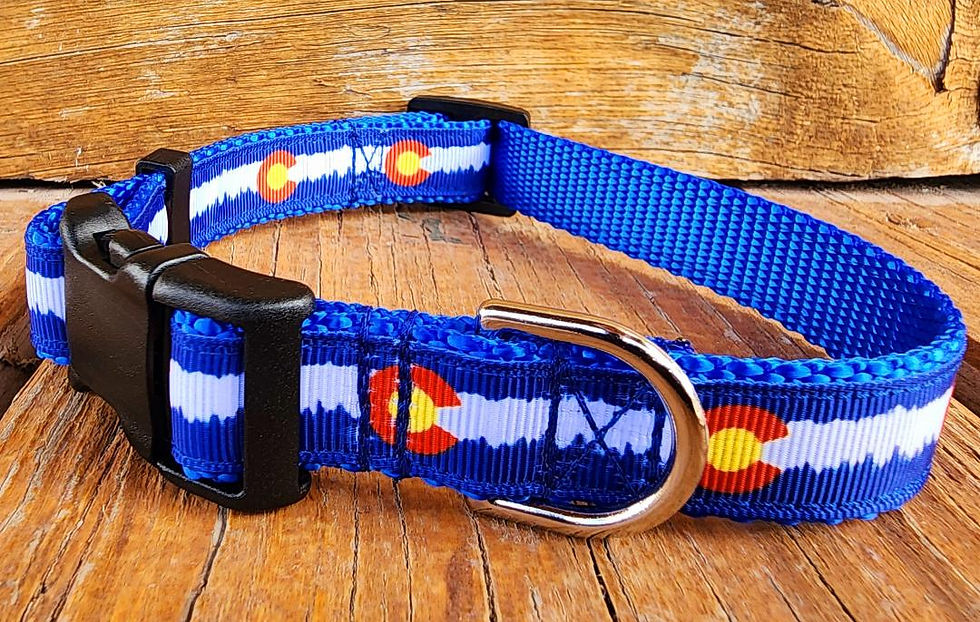 Thumbnail: 3/4" Blue Colorado Dog Collar, Leash, Martingale, or Harness