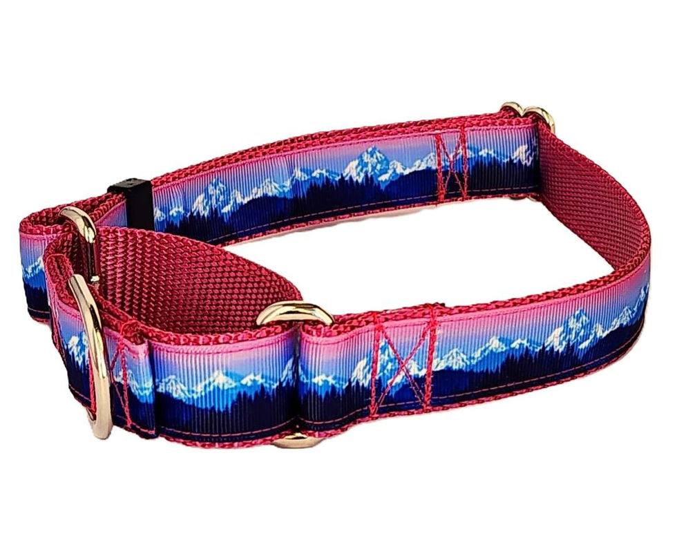 Thumbnail: 1" Pink Mountain Martingale Collar